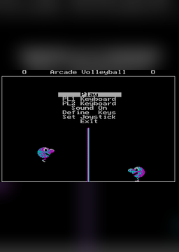 Arcade Volleyball