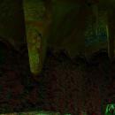 Macphisto's hi-res Banjo-Kazooie Texture Pack 03